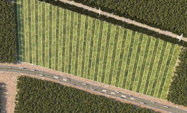 Venta de Excelentes terrenos desde 3,300 m2 sobre carretera Merida - Cancun.