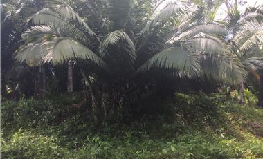 TERRENO + RIO AHUASHIYACU