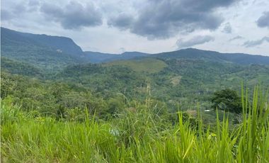 TERRENO + RIO AHUASHIYACU