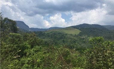 TERRENO + RIO AHUASHIYACU