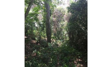 TERRENO + RIO AHUASHIYACU