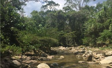 TERRENO + RIO AHUASHIYACU