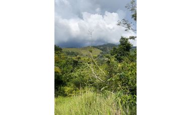 TERRENO + RIO AHUASHIYACU
