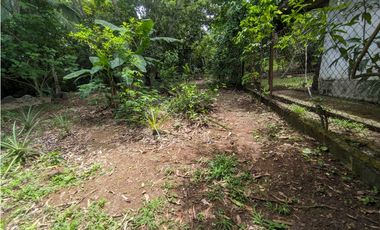 Se Alquila Casa comercial en La Chorrera