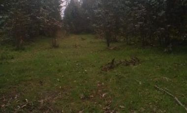 VENTA PARCELA CURACO, CAÑETE -Antu