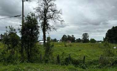 Parcela en venta en OSORNO