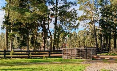 Casa en venta en FRUTILLAR