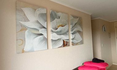 Departamento en arriendo en ALGARROBO
