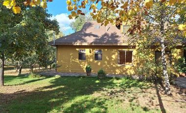 Parcela en arriendo en PAINE