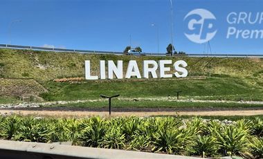 Sitio en Venta en Vega Ancoa