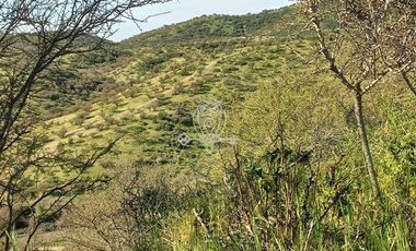 Parcela en Venta en Ruta G60 .....Camino a Rapel ....Union de Codigua
