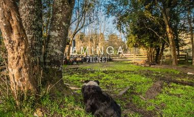 Parcela en Venta en Paraguay Chico- Rio Maullin