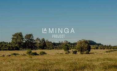 Parcela en Venta en Paraguay Chico- Rio Maullin