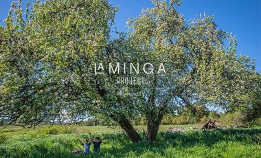 Parcela en Venta en Paraguay Chico Rio Maullin