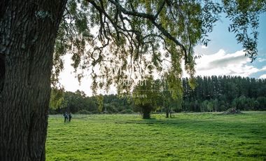 Parcela en Venta en Paraguay Chico Rio Maullin