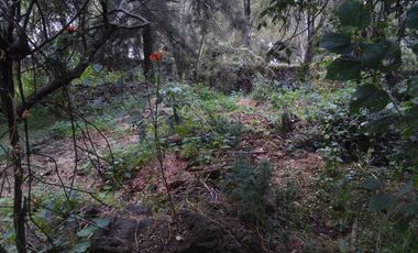 Terreno en Venta en fraccionamiento ecológico con Casa Club