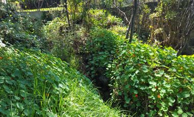 Terreno en Venta en fraccionamiento ecológico con Casa Club