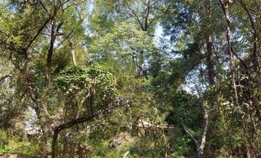 Terreno en Venta en fraccionamiento ecológico con Casa Club