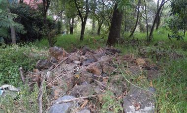Terreno en Venta en fraccionamiento ecológico con Casa Club
