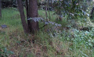 Terreno en Venta en fraccionamiento ecológico con Casa Club