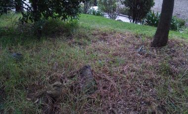 Terreno en Venta en fraccionamiento ecológico con Casa Club