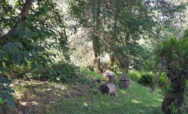 Terreno en Venta en fraccionamiento ecológico con Casa Club