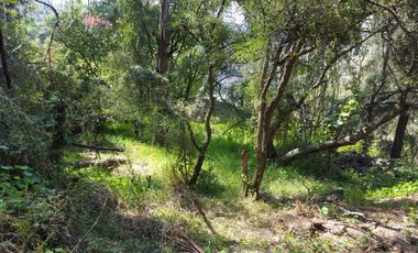 Terreno en Venta en fraccionamiento ecológico con Casa Club