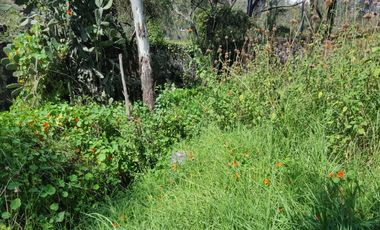 Terreno en Venta en fraccionamiento ecológico con Casa Club