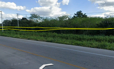 Terreno en venta en Motul, Yucatán