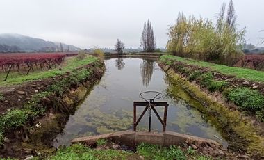 PROPIEDAD AGRICOLA EN VENTA, CAMPO DE 91 HA, TENO