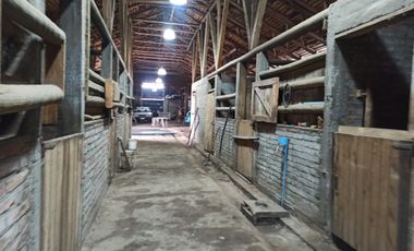 PROPIEDAD AGRICOLA EN VENTA, CAMPO DE 91 HA, TENO