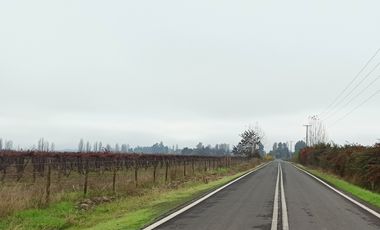 PROPIEDAD AGRICOLA EN VENTA, CAMPO DE 91 HA, TENO