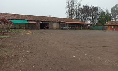 PROPIEDAD AGRICOLA EN VENTA, CAMPO DE 91 HA, TENO