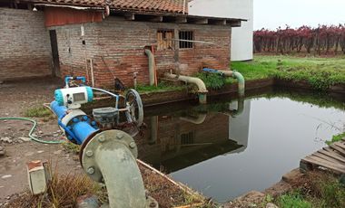 PROPIEDAD AGRICOLA EN VENTA, CAMPO DE 91 HA, TENO
