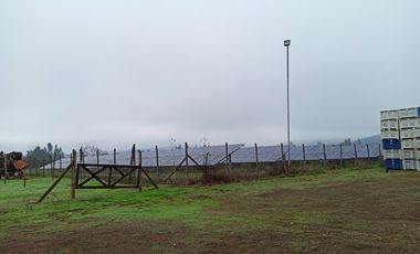 PROPIEDAD AGRICOLA EN VENTA, CAMPO DE 91 HA, TENO