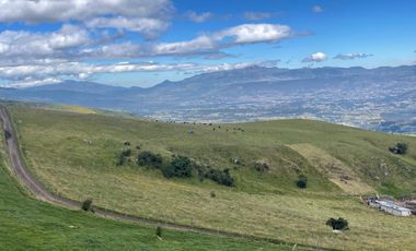 Venta oportunidad hacienda de 154 hectáreas en Pifo