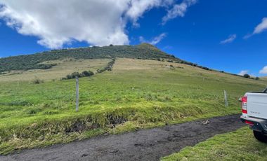 Venta oportunidad hacienda de 154 hectáreas en Pifo