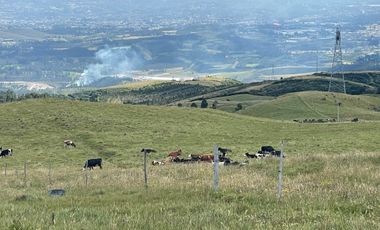 Venta oportunidad hacienda de 154 hectáreas en Pifo