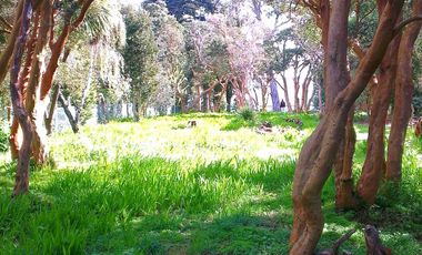 Terreno con espectacular vista al Mar, en privilegiado entorno de la Costa Valdiviana.