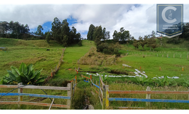VENTA DE FINCA EN LA VEREDA PANTANILLO - SAN PEDRO
