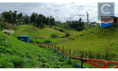 VENTA DE FINCA EN LA VEREDA PANTANILLO - SAN PEDRO