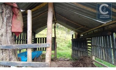 Venta Finca El Peñolcito Copacabana