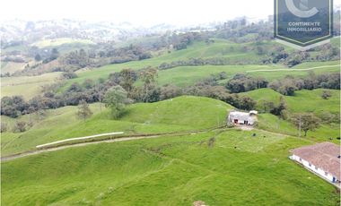 Venta finca 7 cueros San Félix