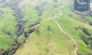 Venta finca 7 cueros San Félix