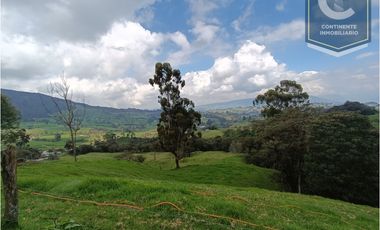 Venta finca 7 cueros San Félix