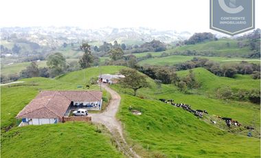 Venta finca 7 cueros San Félix