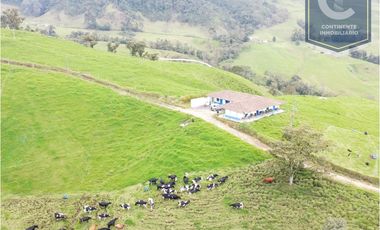 Venta finca 7 cueros San Félix
