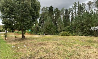 Venta de Lote Comercial Sobre Carretera Las Palmas Vía Principal