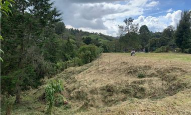 Venta de Lote Comercial Sobre Carretera Las Palmas Vía Principal