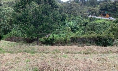 Venta de Lote Comercial Sobre Carretera Las Palmas Vía Principal